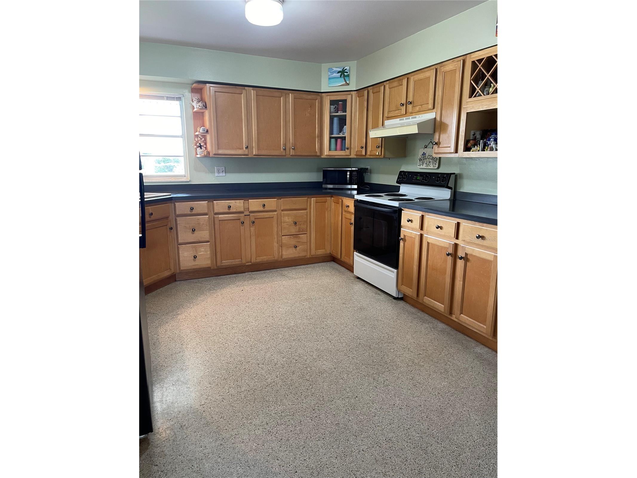 437 Carolina Avenue Saint Cloud FL 34769 - EAST LAKE TOHOPEKALIGA S5153874 image9