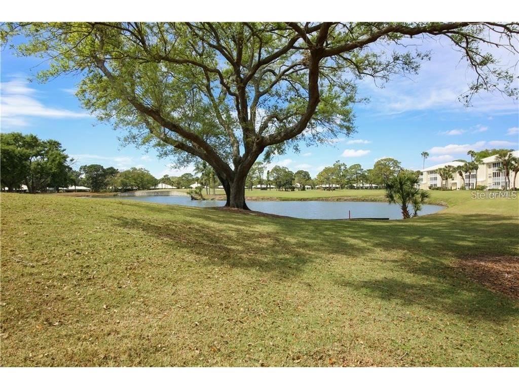 437 Cerromar Lane #315 Venice FL 34293 A4657054 image20