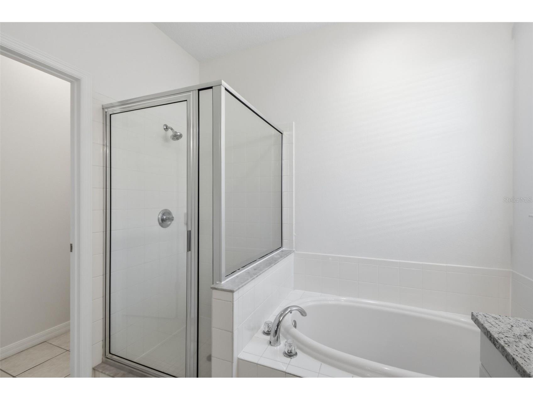 437 Dunaway Drive Valrico FL 33594 O6400507 image48