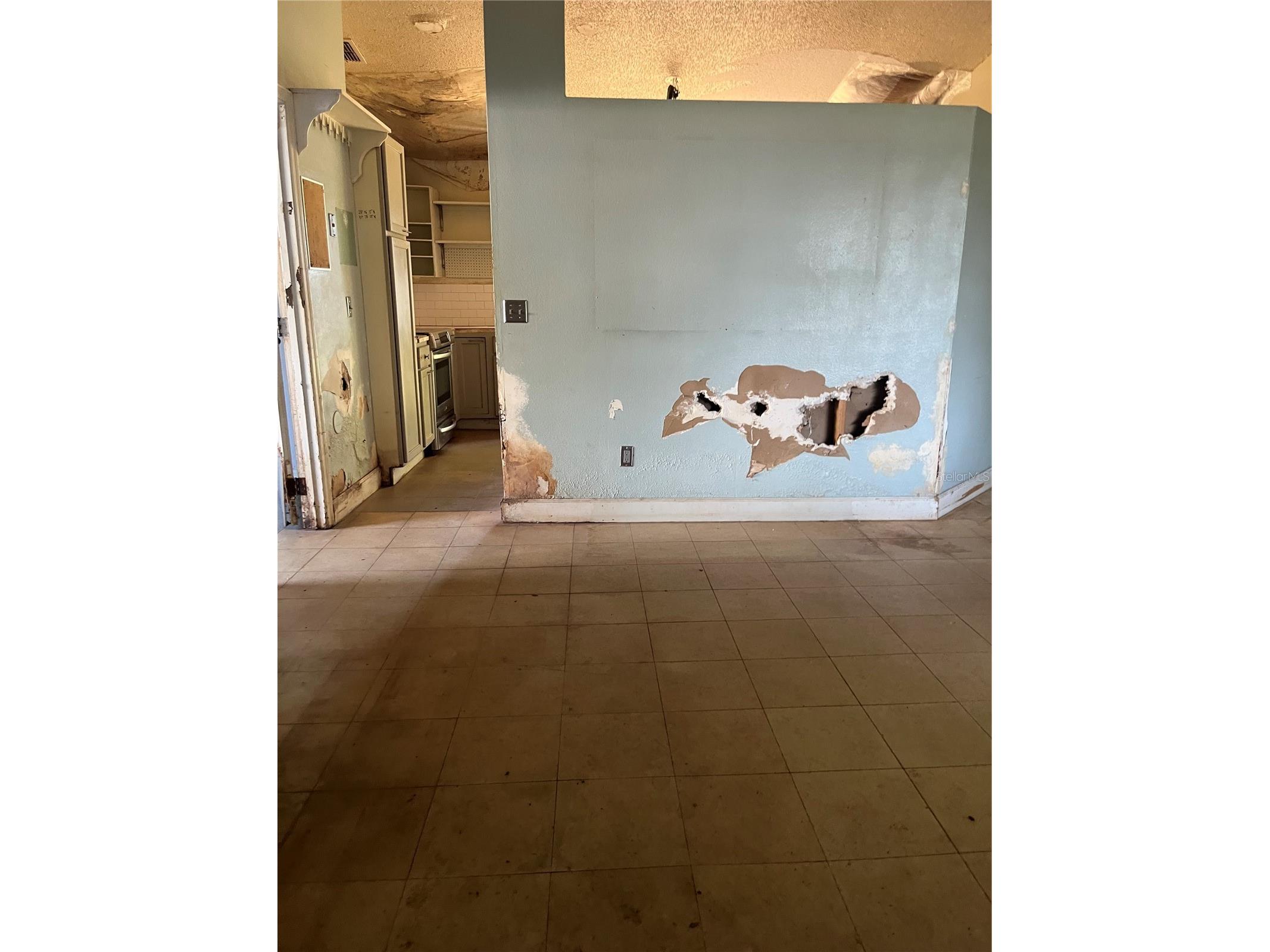 437 Eagle Drive Kissimmee FL 34759 O6393876 image26