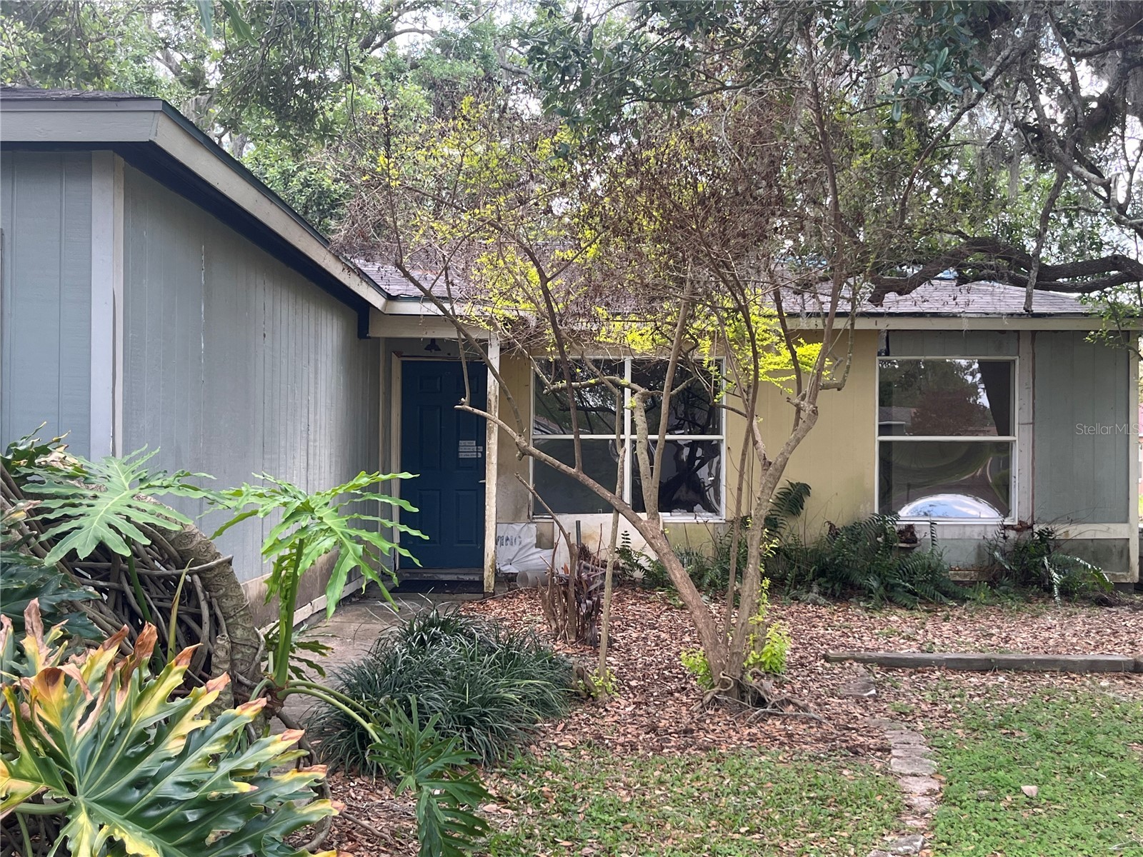 437 Eagle Drive Kissimmee FL 34759 O6393876 image29