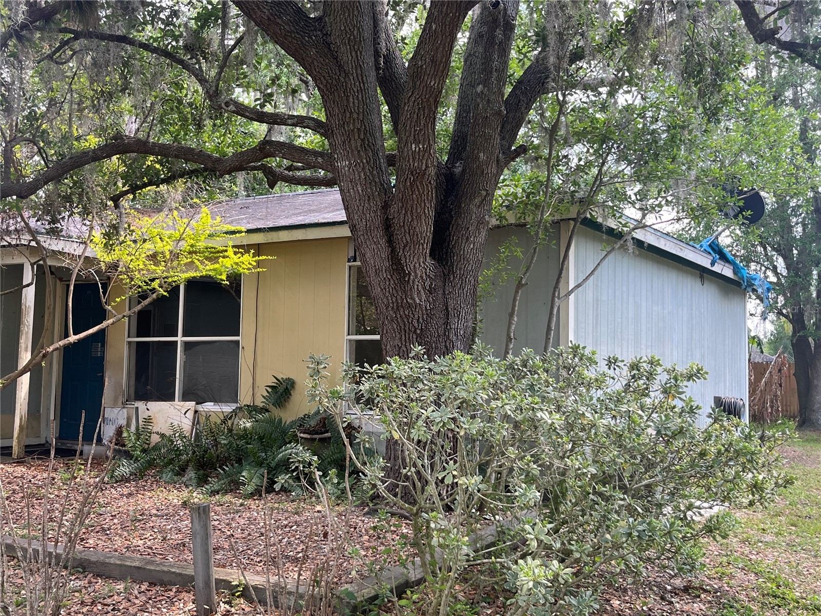 437 Eagle Drive Kissimmee FL 34759 O6393876 image32