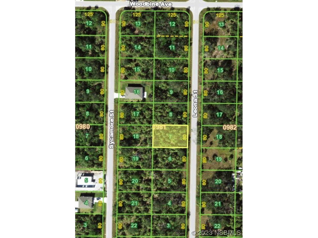 437 Leona Street Port Charlotte FL 33954 NS1077919 image1