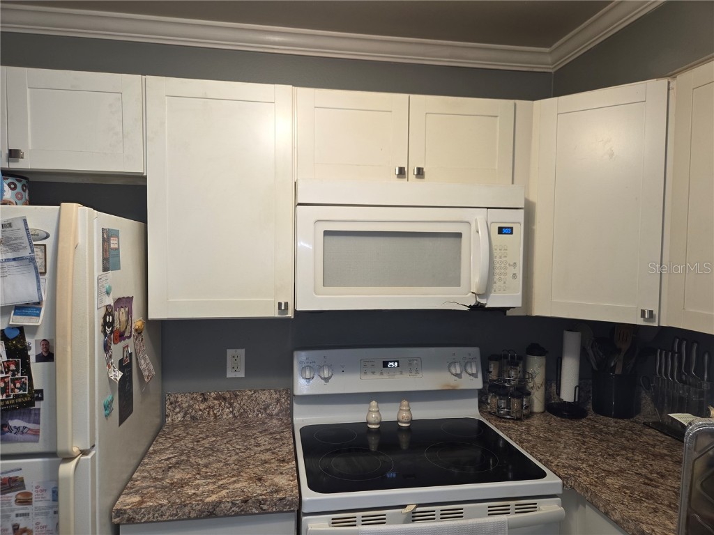 437 N Boston Avenue #437 Deland FL 32724 O6355205 image10