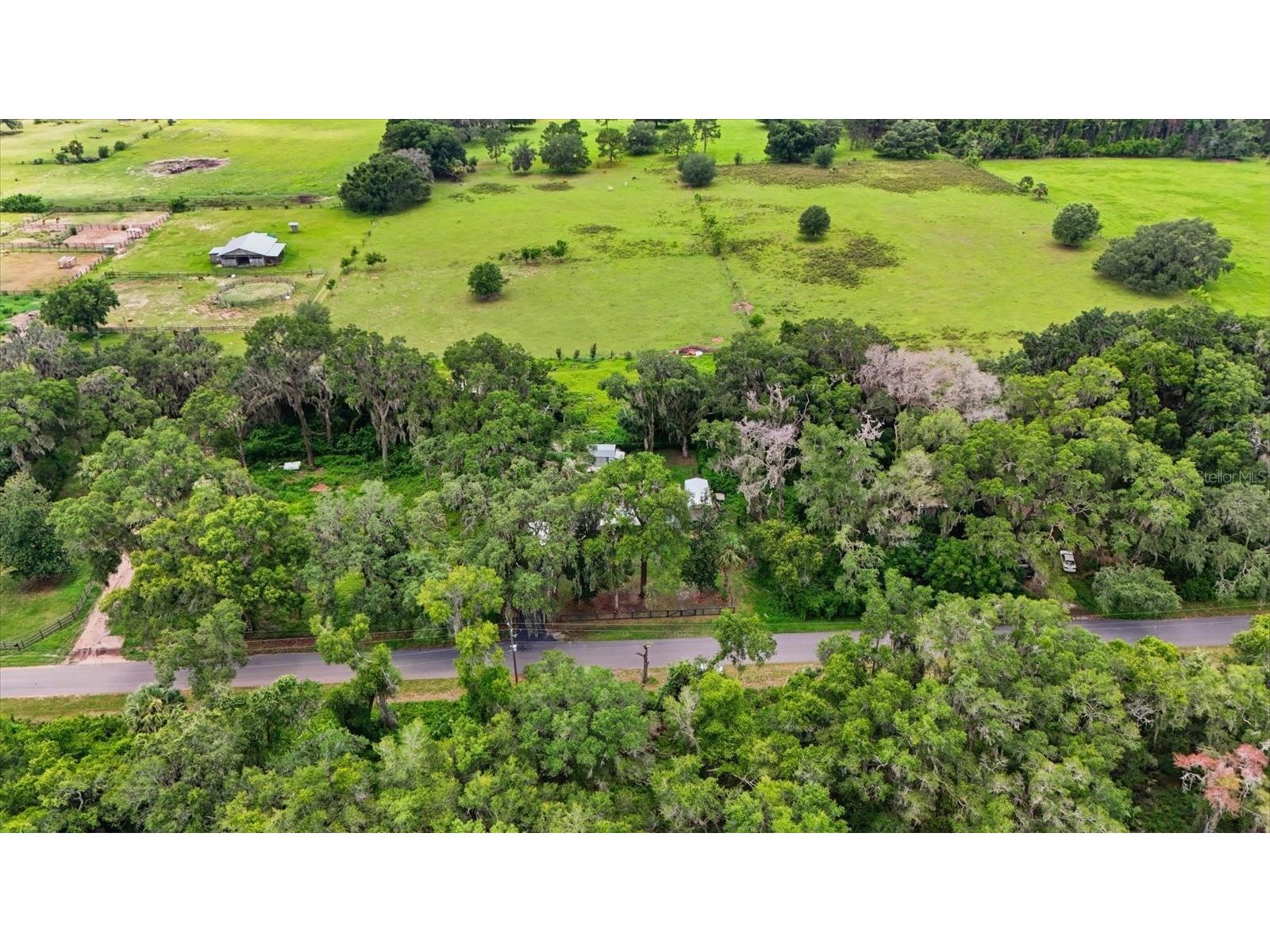 4370 E Amherst Street Hernando FL 34442 OM727962 image35
