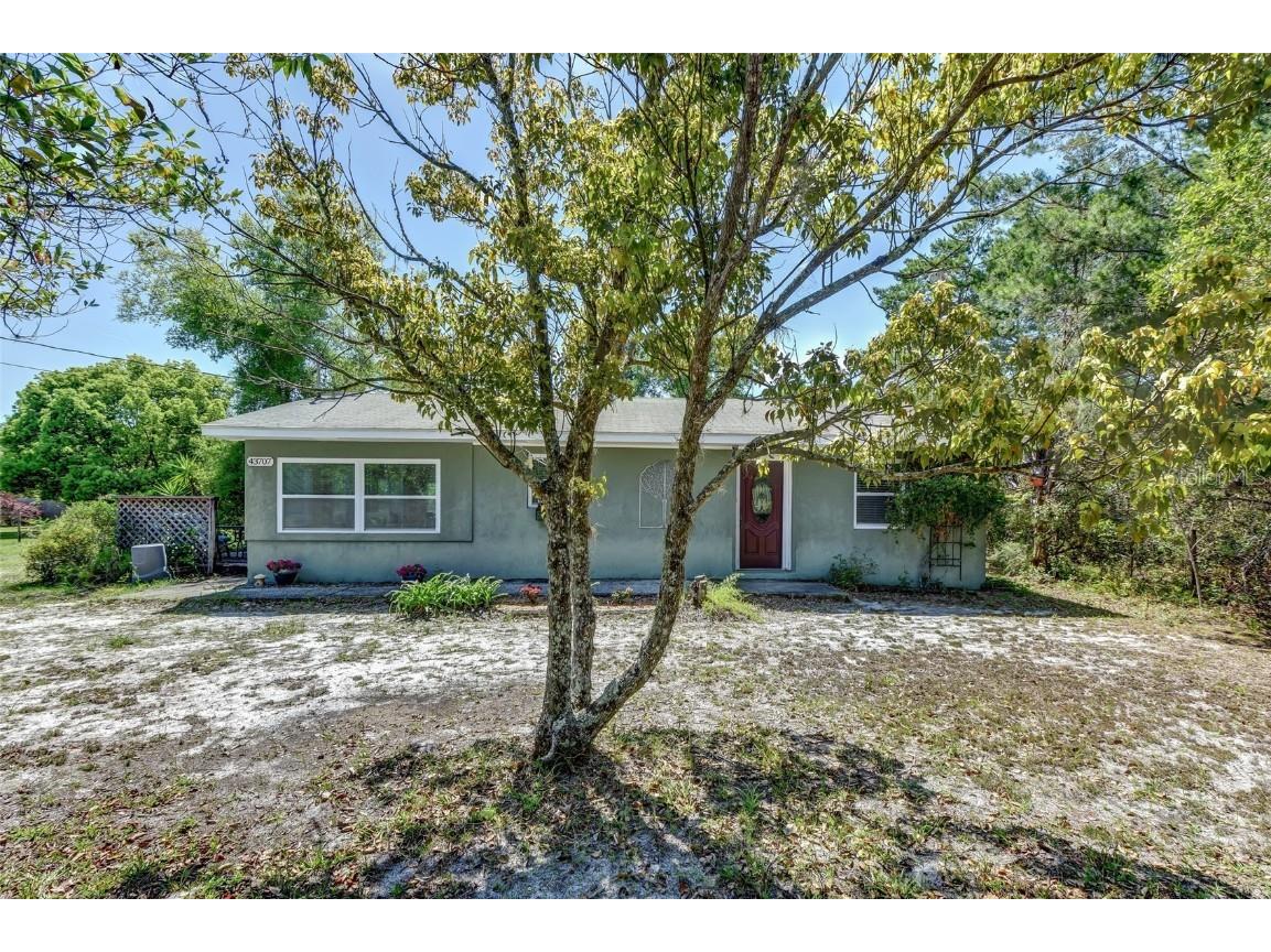 43707 Gracie Dr Paisley FL 32767 V4923730 image1