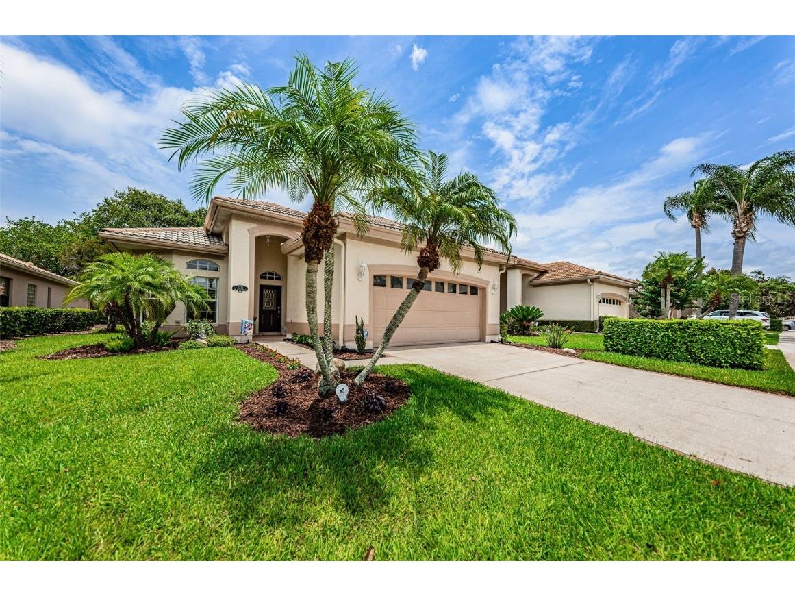 4371 Live Oak Boulevard Palm Harbor FL 34685 - LAKE TARPON U8204738 image1