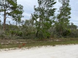 4372 Mercedes Street Sebring FL 33872 L4933372 image1