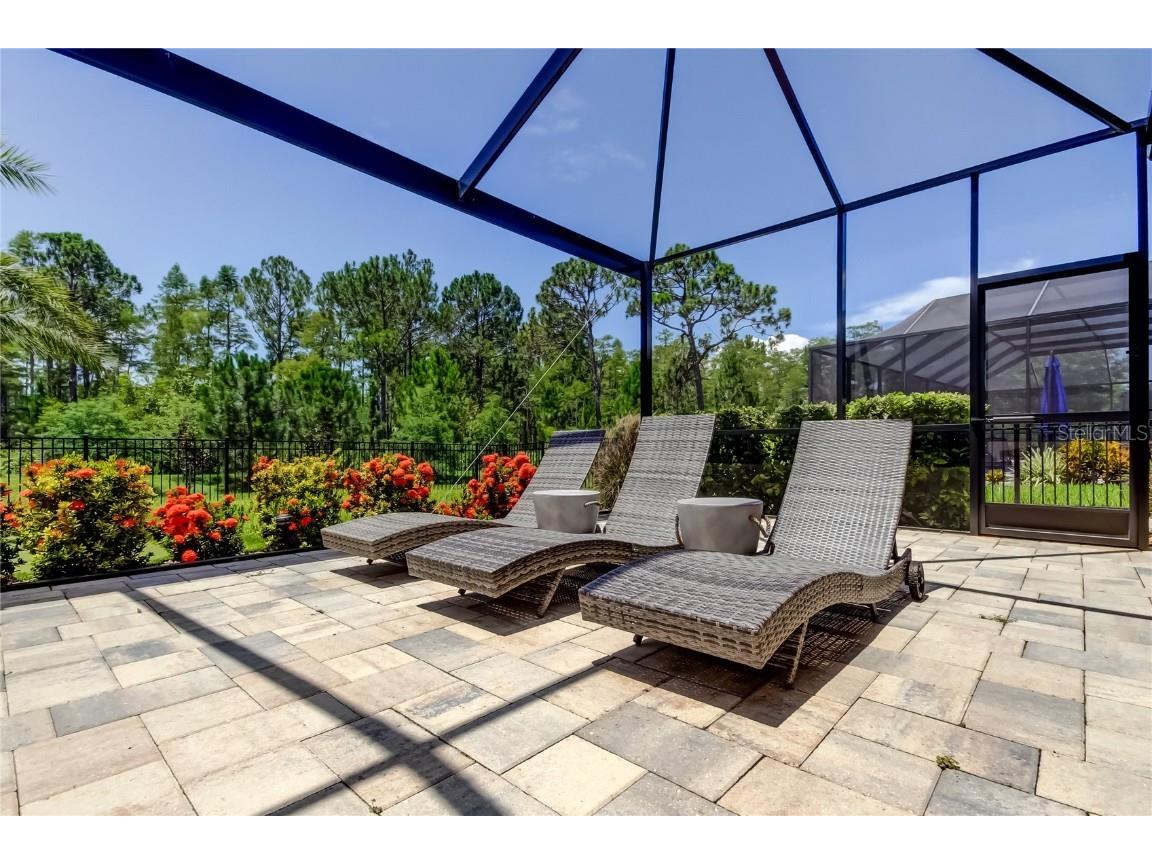 4372 Night Star Trail Odessa FL 33556 TB8403115 image30