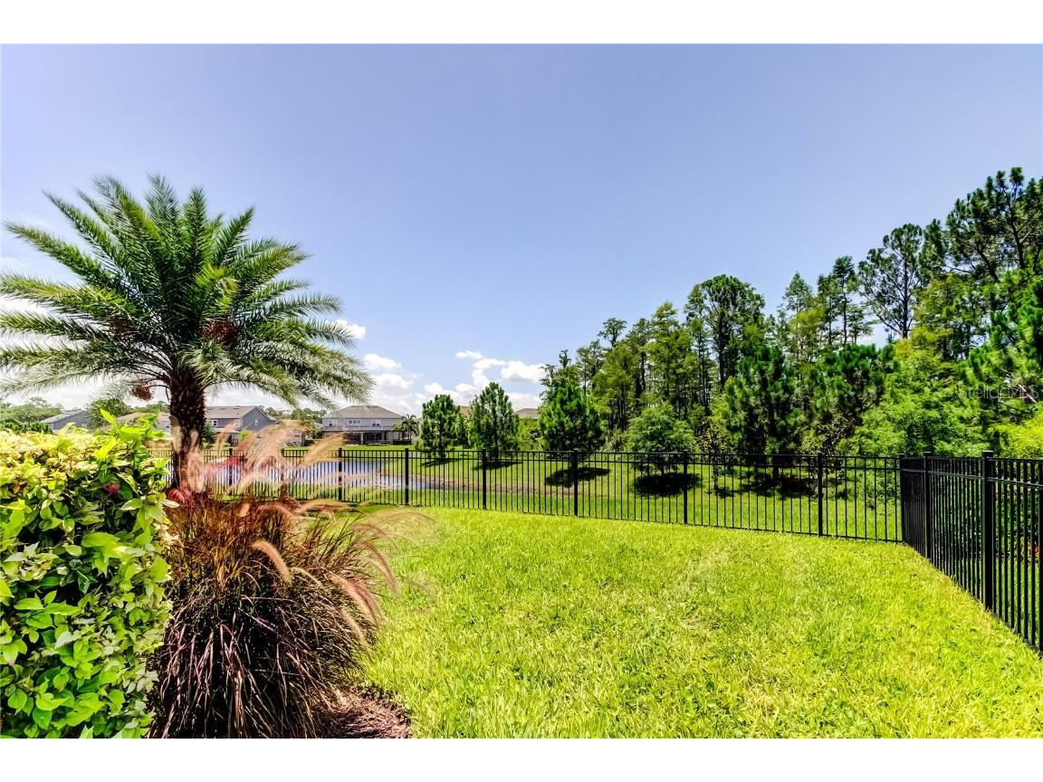 4372 Night Star Trail Odessa FL 33556 TB8403115 image31