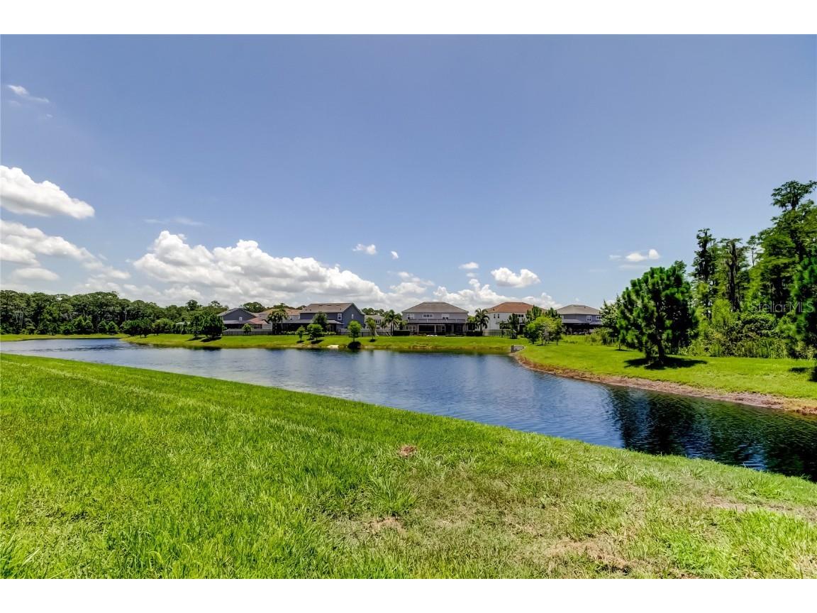 4372 Night Star Trail Odessa FL 33556 TB8403115 image32