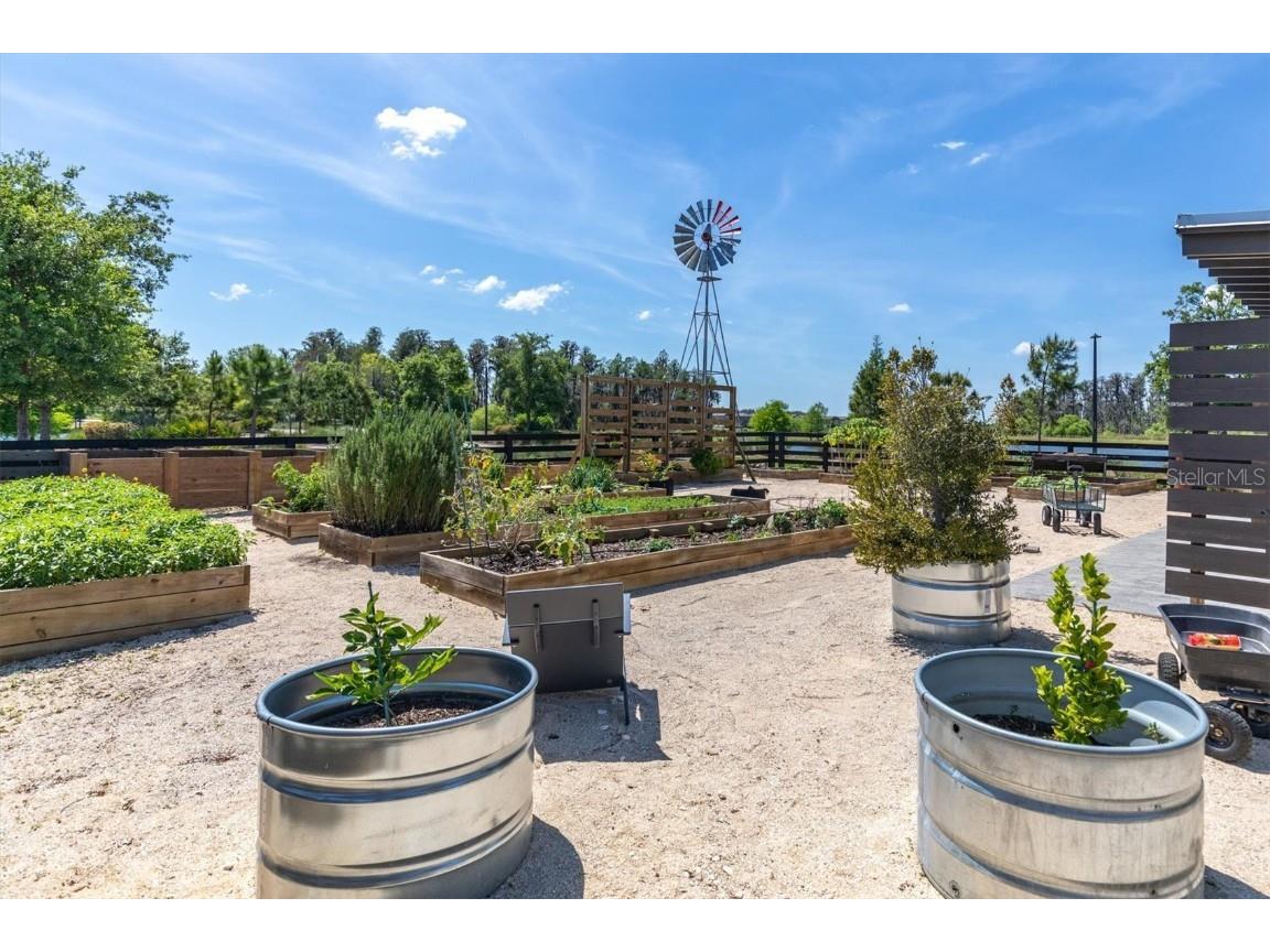 4372 Night Star Trail Odessa FL 33556 TB8403115 image37