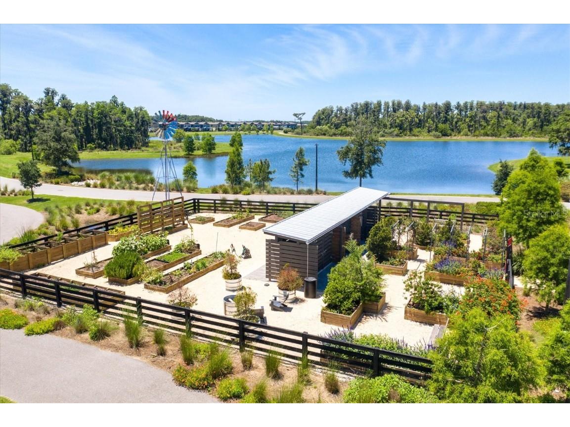 4372 Night Star Trail Odessa FL 33556 TB8403115 image38