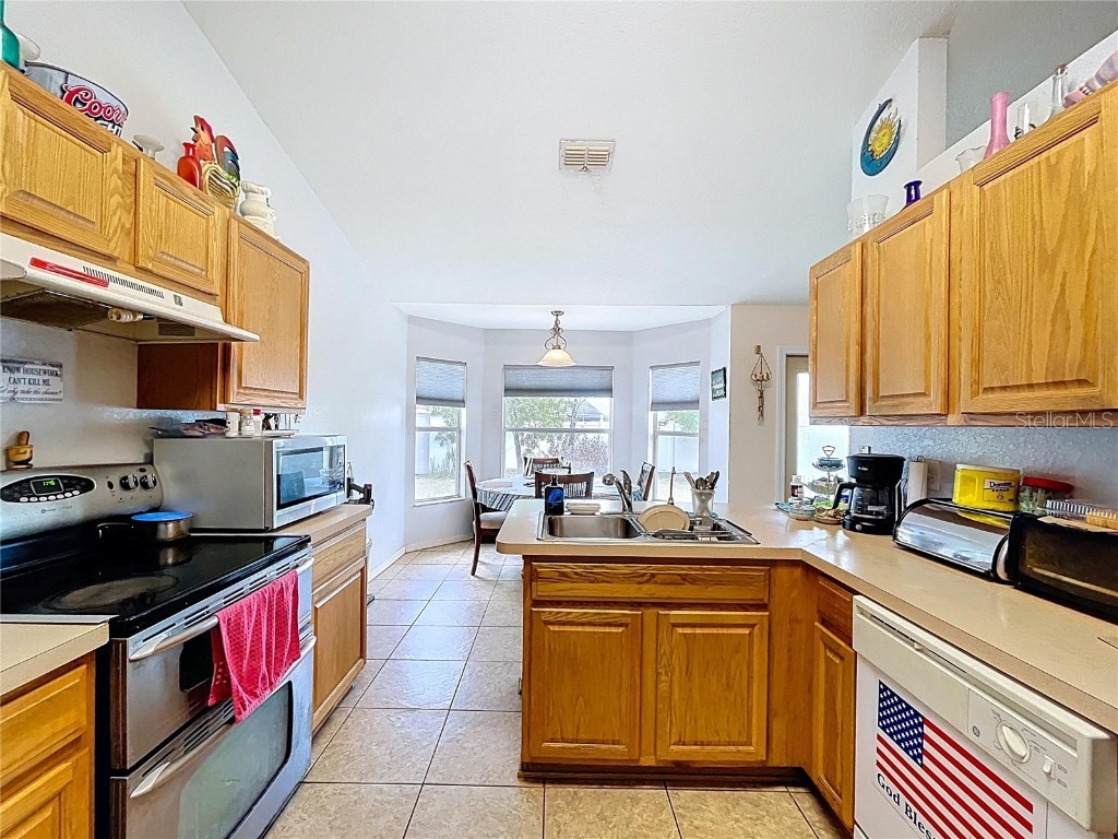 4372 Odin Street Spring Hill FL 34608 W7879352 image14