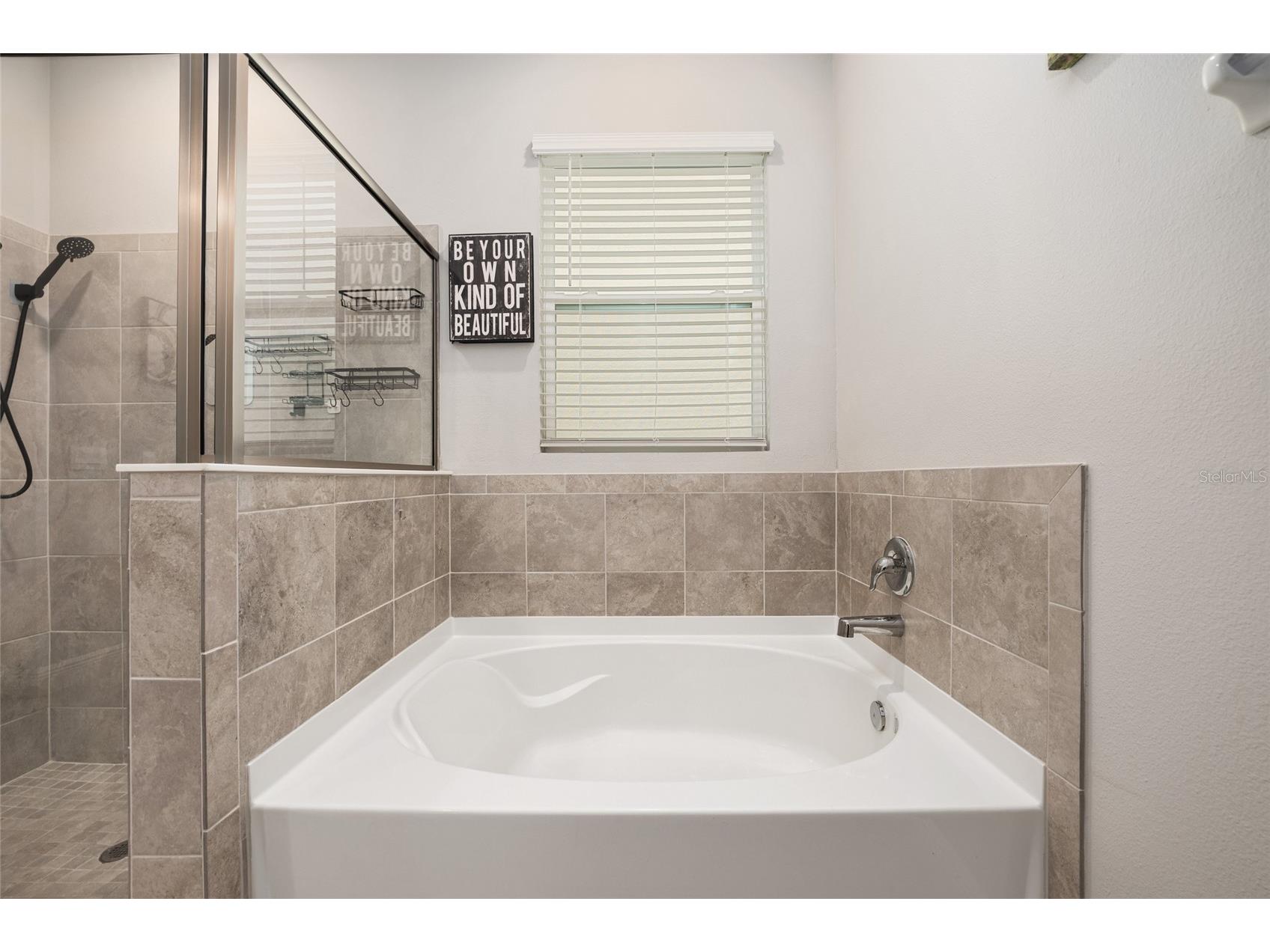 4372 SW 56th Place Ocala FL 34474 OM725762 image36