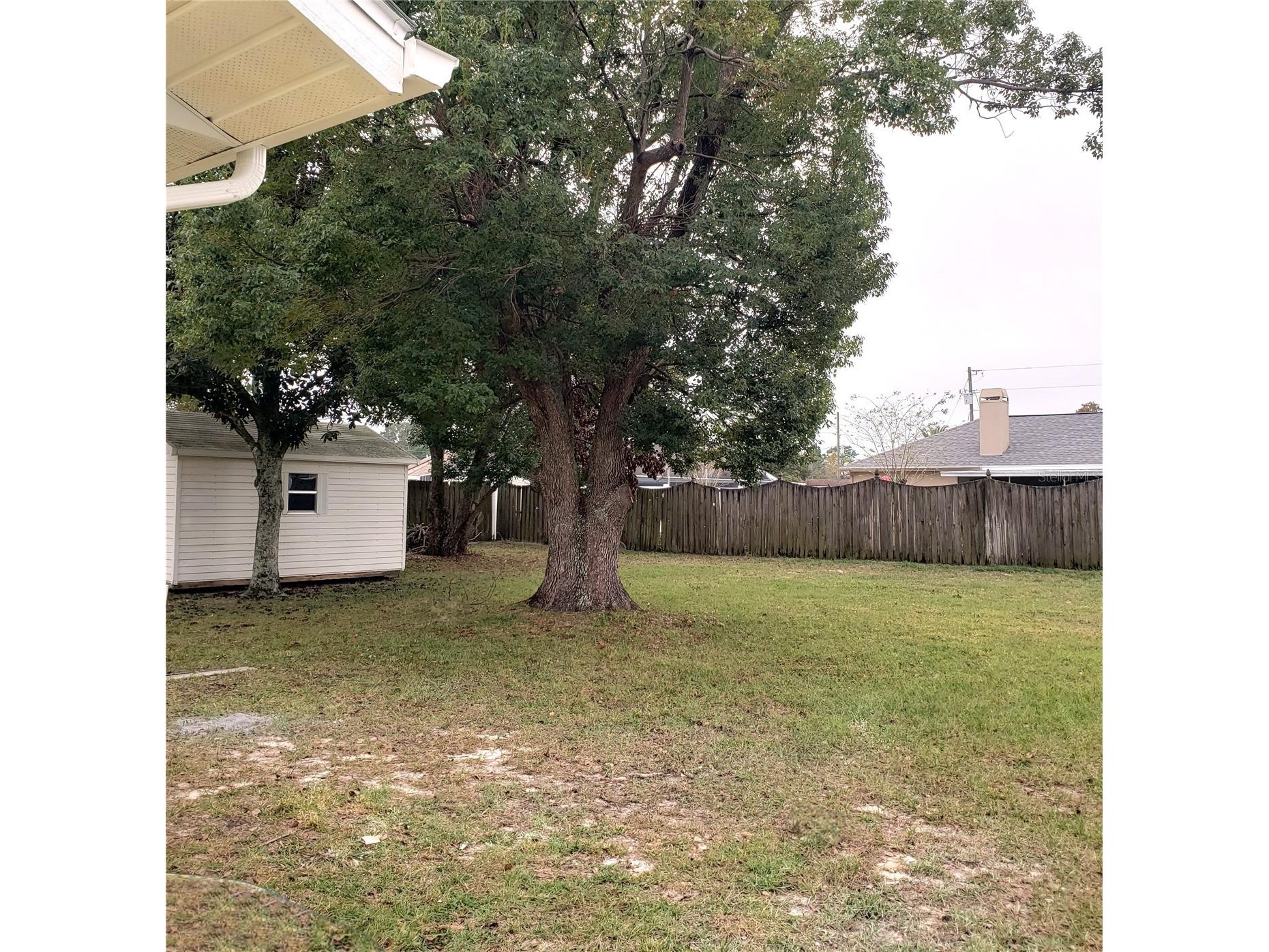 4373 Quintara Street Spring Hill FL 34608 TB8486419 image13