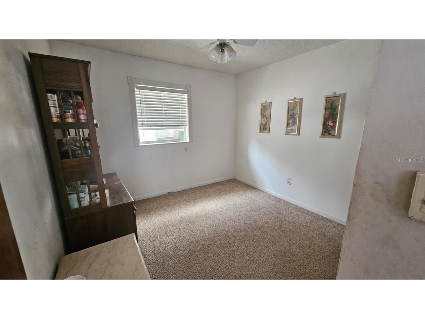 43734 West Lane Paisley FL 32767 V4947381 image10