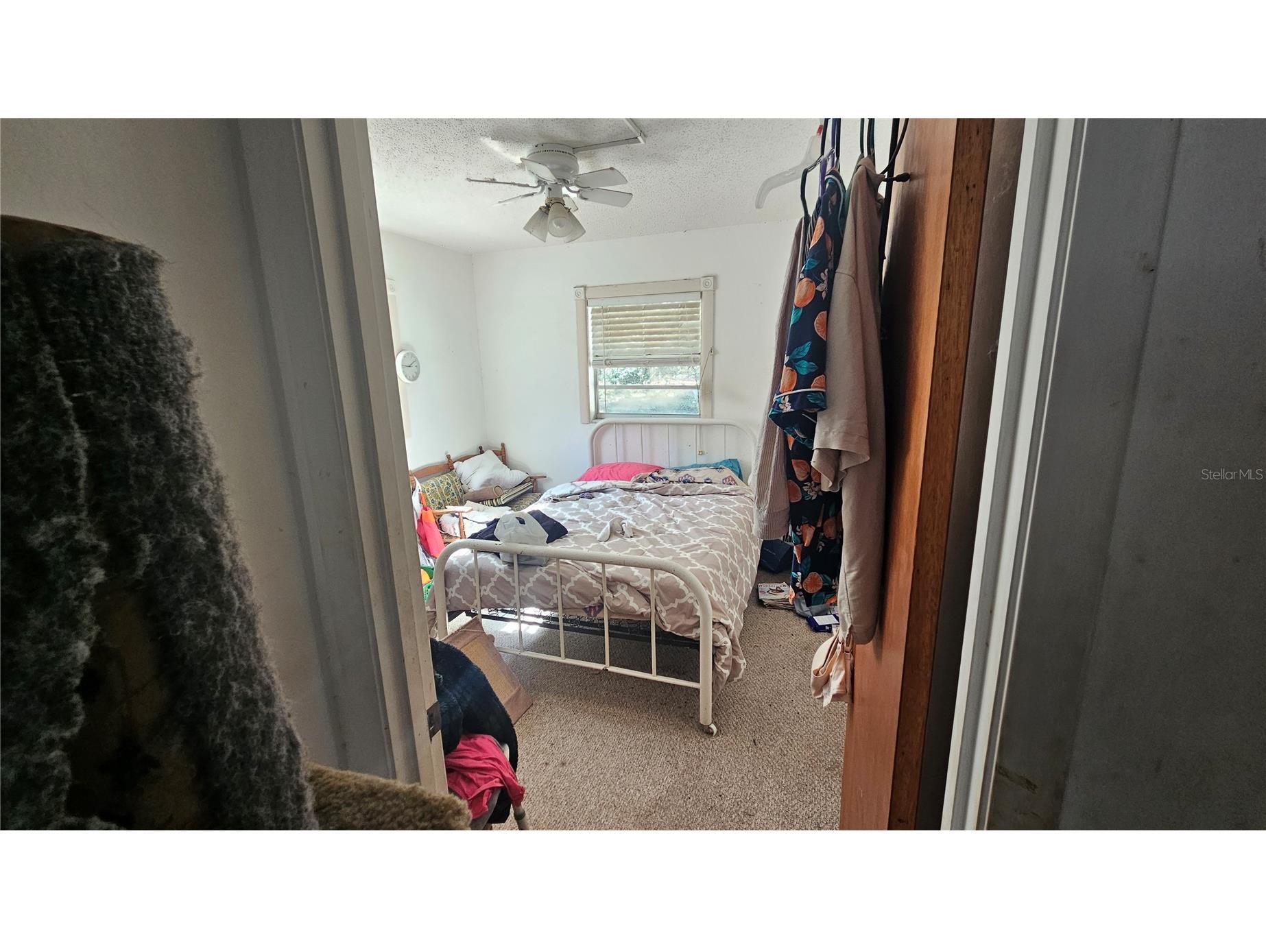 43734 West Lane Paisley FL 32767 V4947381 image11
