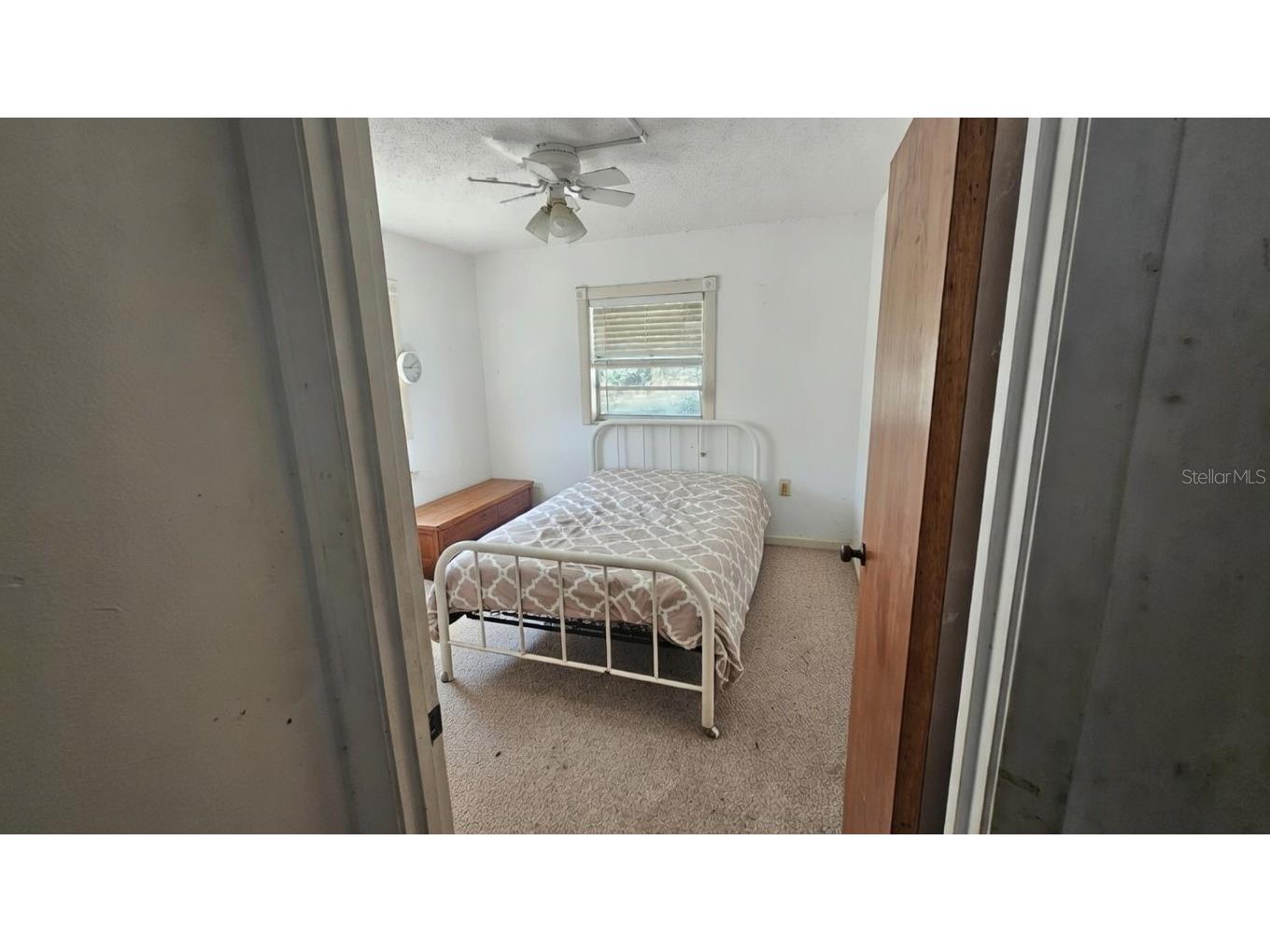 43734 West Lane Paisley FL 32767 V4947381 image12