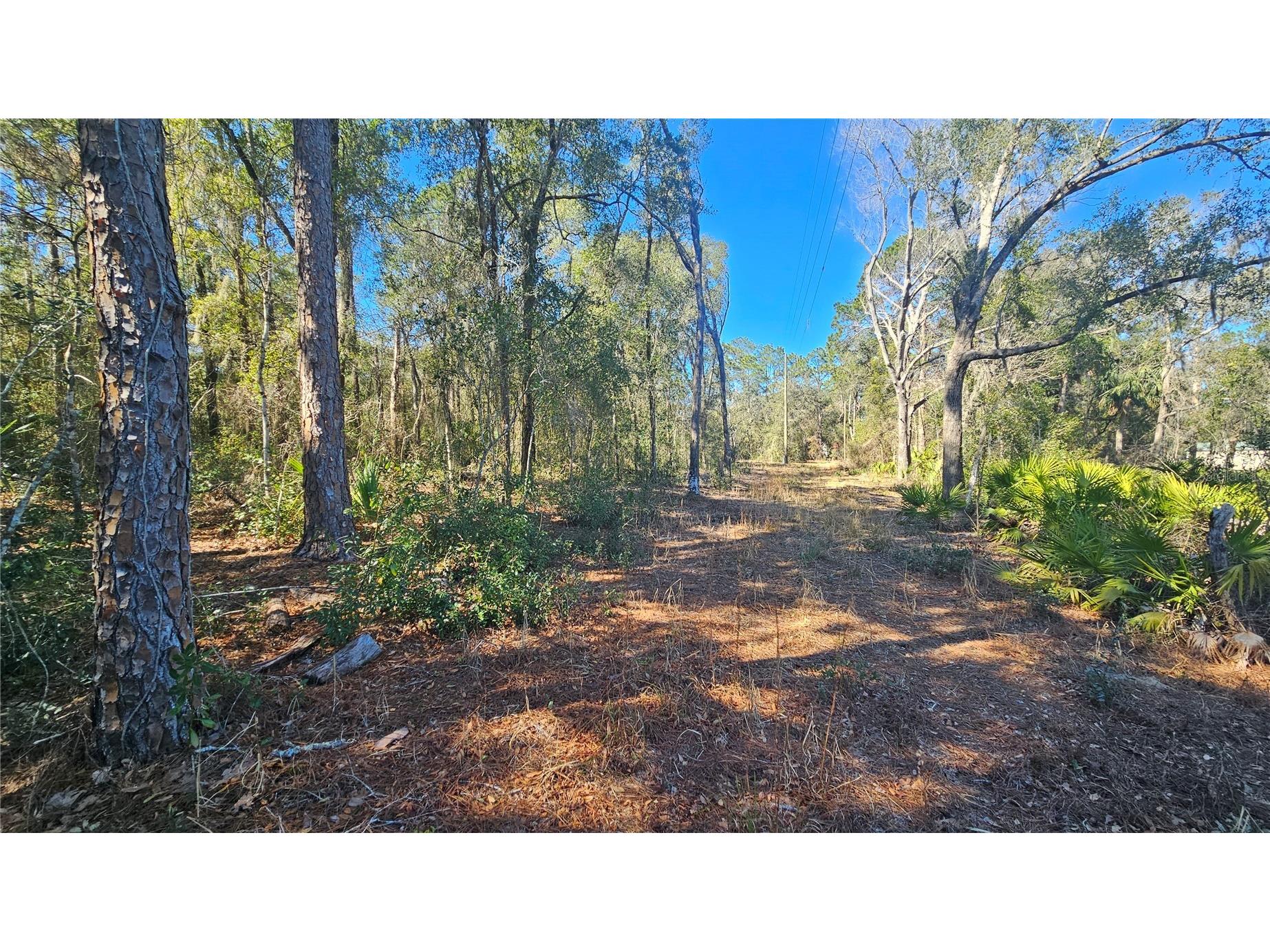 43734 West Lane Paisley FL 32767 V4947381 image21