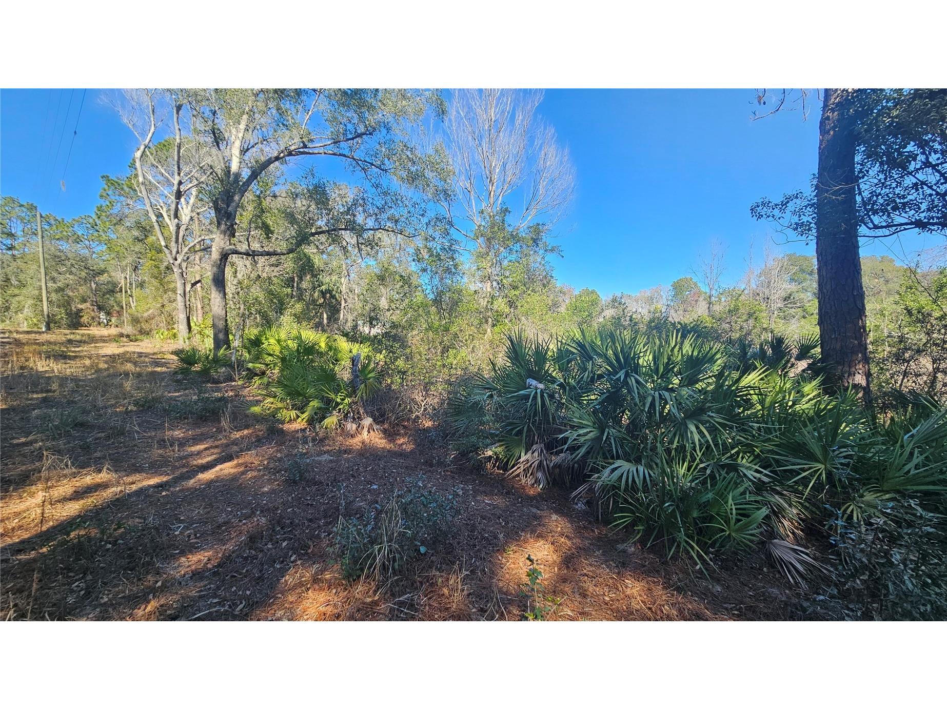 43734 West Lane Paisley FL 32767 V4947381 image22