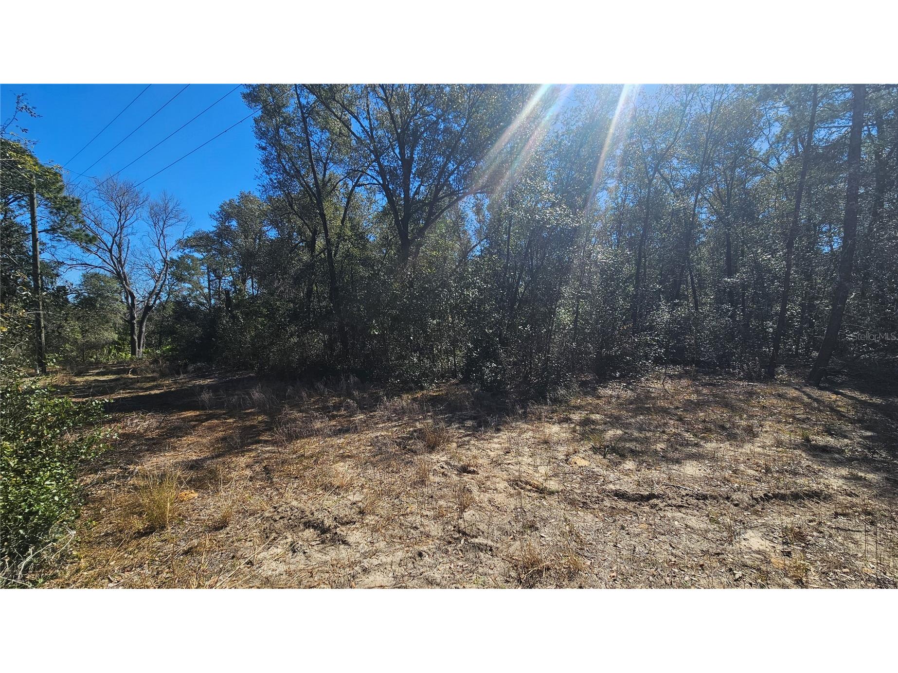 43734 West Lane Paisley FL 32767 V4947381 image24