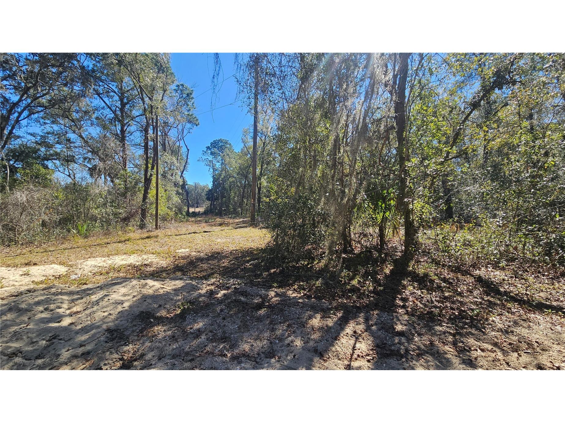 43734 West Lane Paisley FL 32767 V4947381 image26