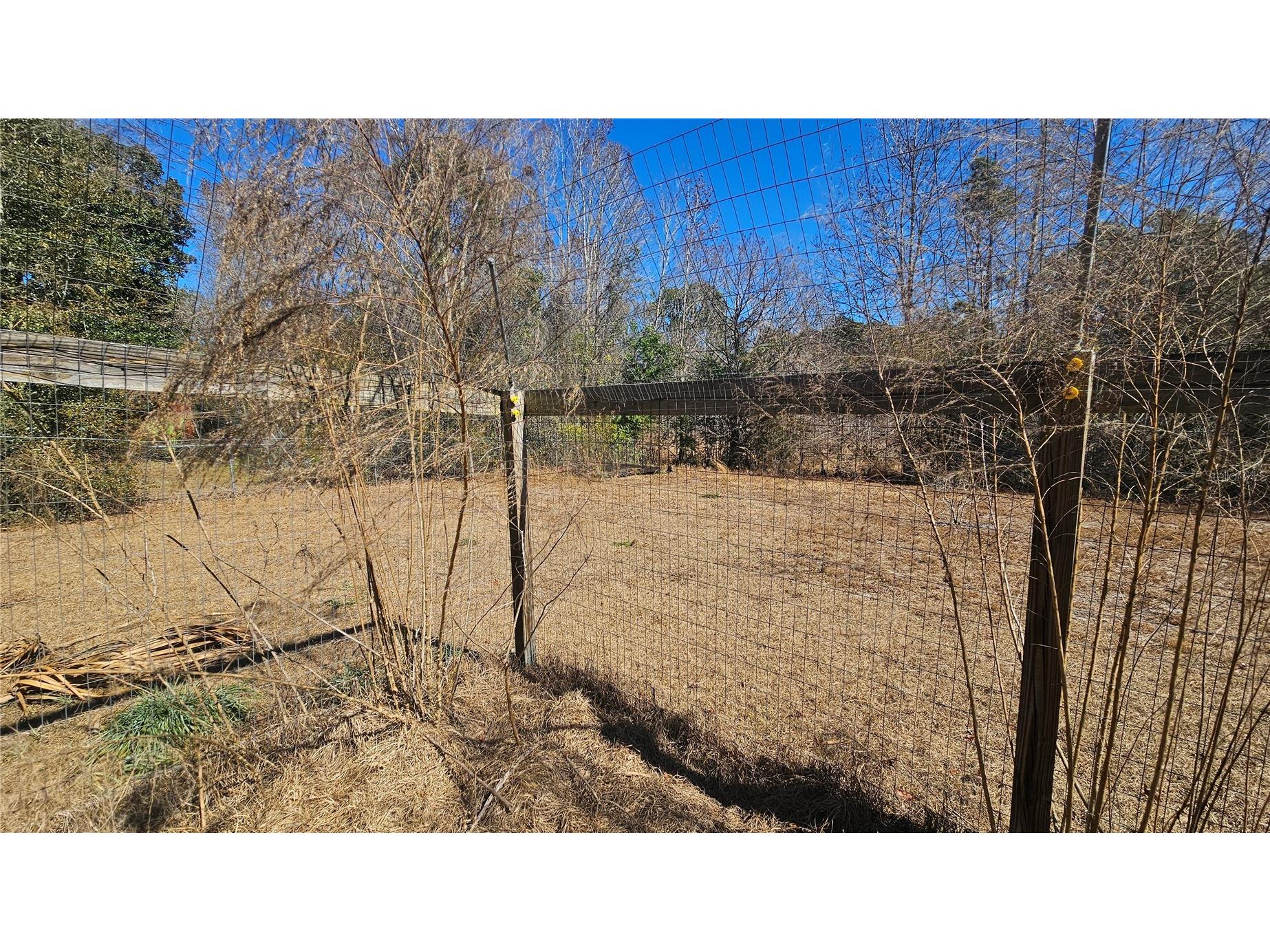 43734 West Lane Paisley FL 32767 V4947381 image28