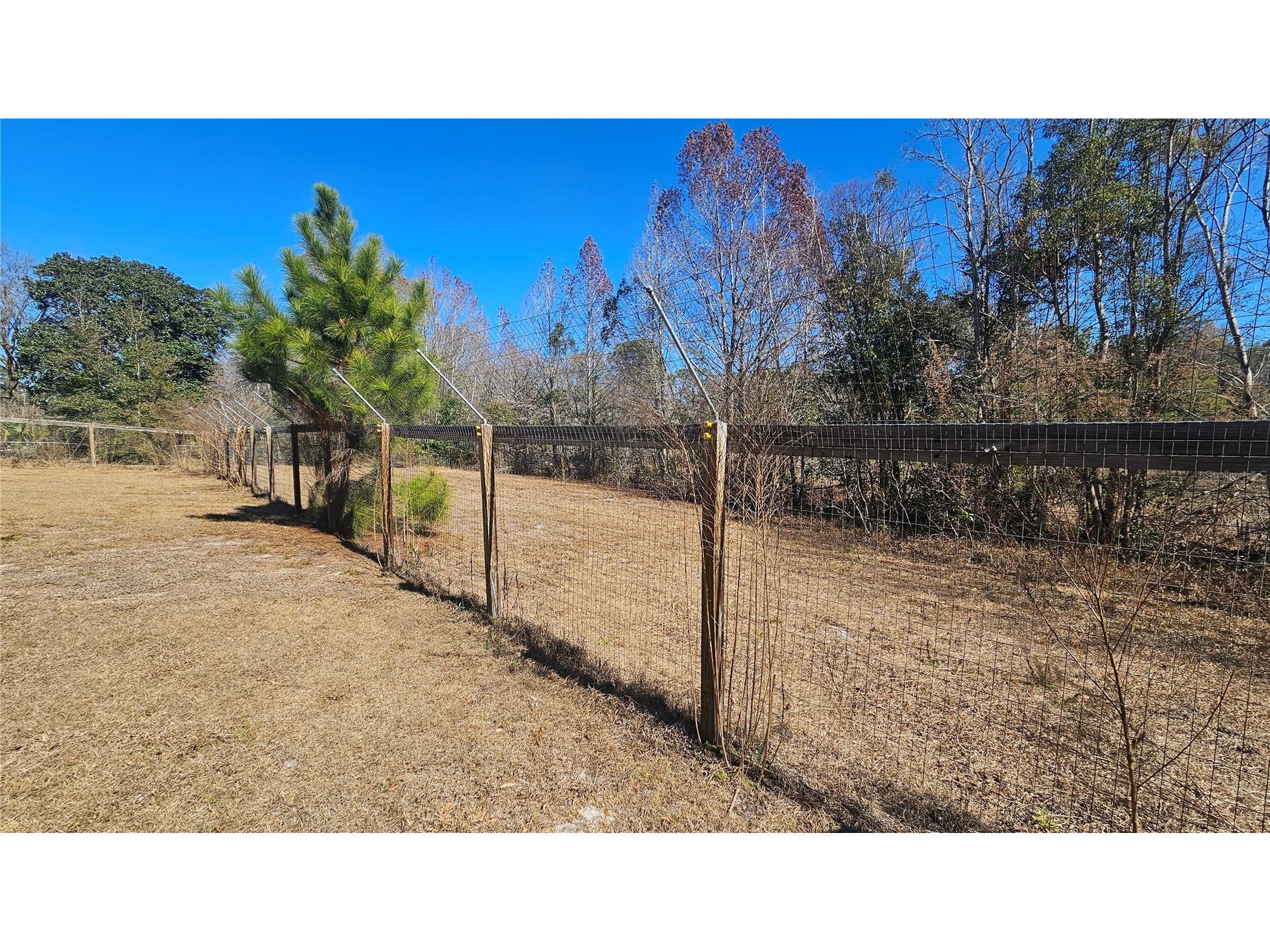 43734 West Lane Paisley FL 32767 V4947381 image29