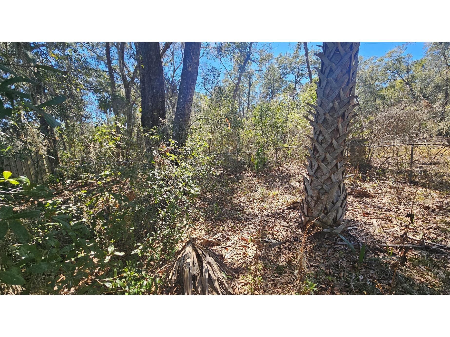 43734 West Lane Paisley FL 32767 V4947381 image33