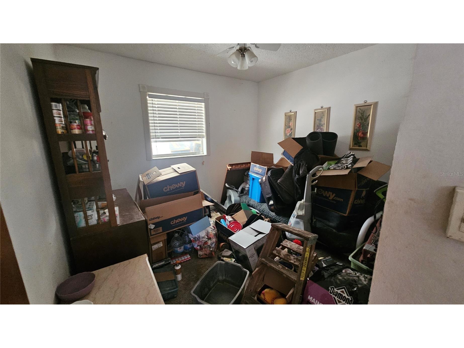 43734 West Lane Paisley FL 32767 V4947381 image9