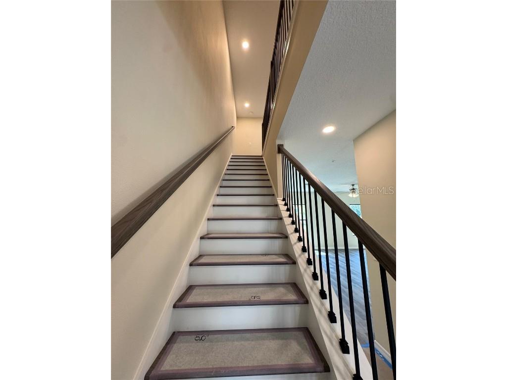 4374 Cambio Gardens Court Tampa FL 33610 TB8440124 image17