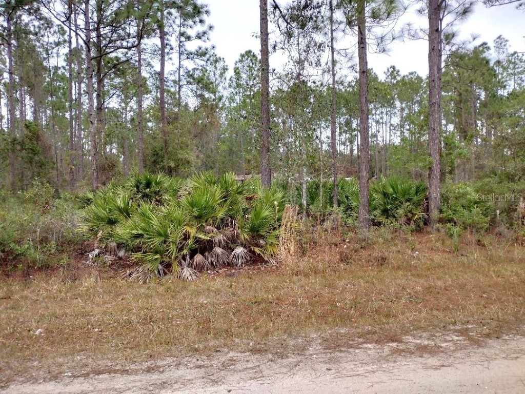 4374 Clove Avenue Bunnell FL 32110 FC314776 image5