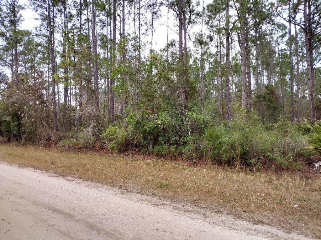 4374 Clove Avenue Bunnell FL 32110 FC314776 image6