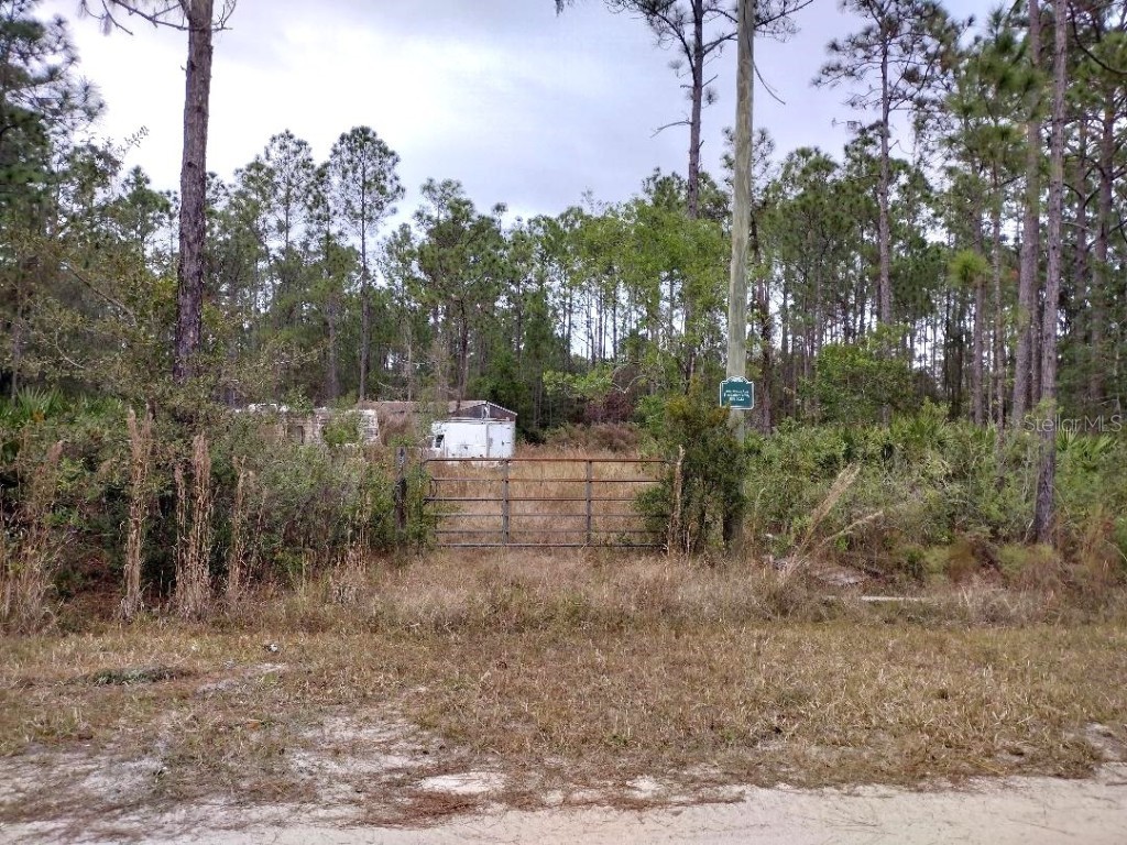 4374 Clove Avenue Bunnell FL 32110 FC314776 image8