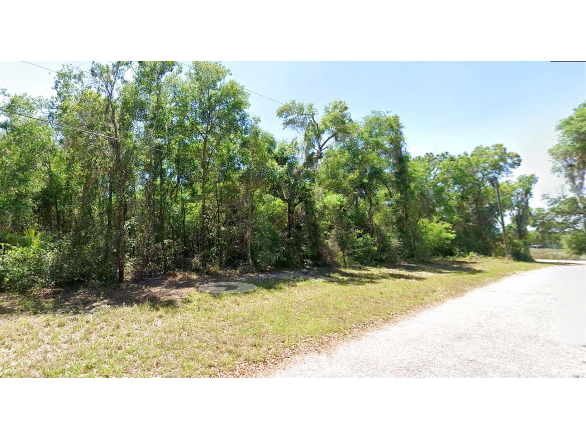4374 E Mate Lane Hernando FL 34442 S5152465 image1