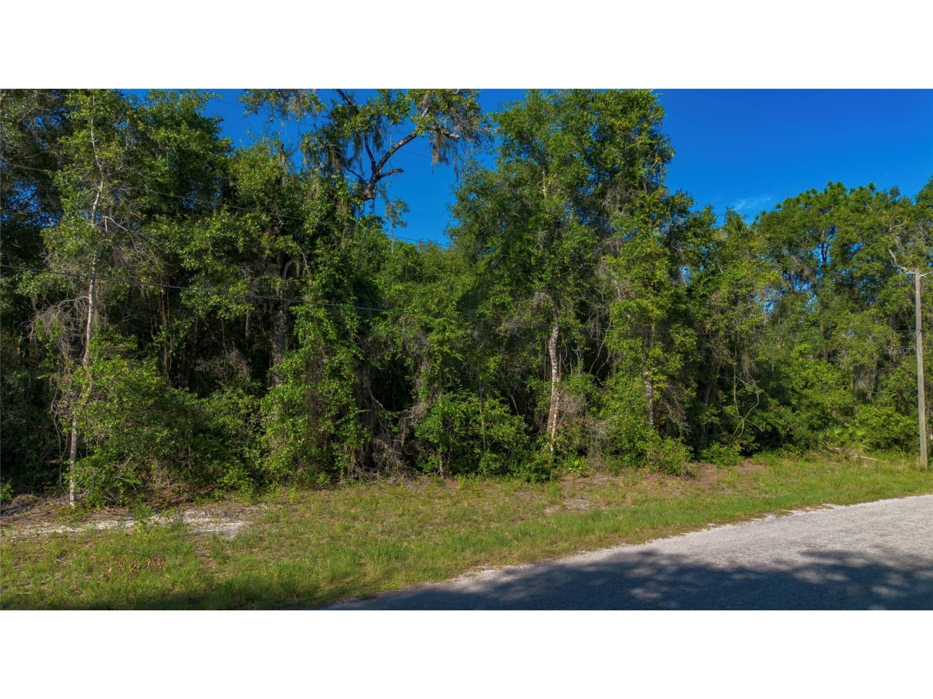 4374 E Mate Lane Hernando FL 34442 S5152465 image2