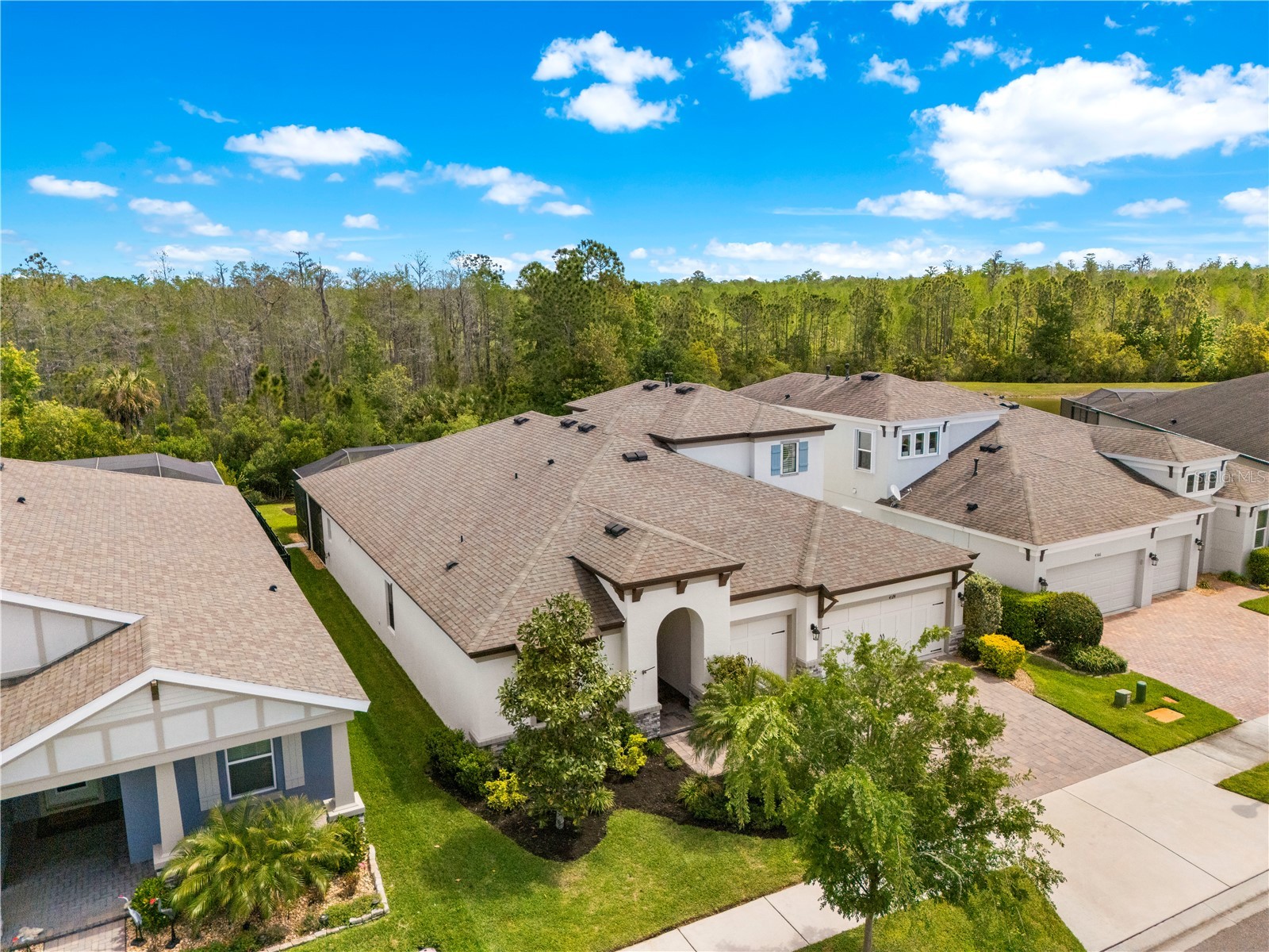 4374 Tuner Bend Land O Lakes FL 34638 TB8493551 image3