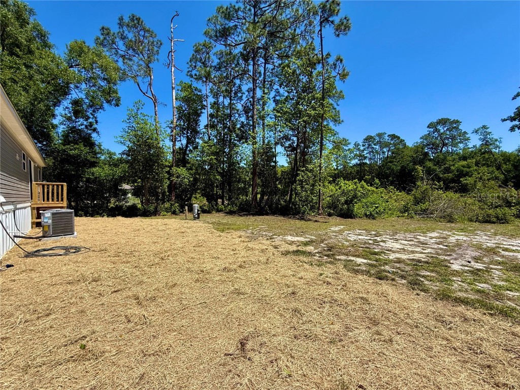 43740 Sunset Drive Paisley FL 32767 - Lake Grace G5095684 image26