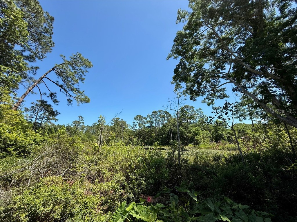 43740 Sunset Drive Paisley FL 32767 - Lake Grace G5095684 image27