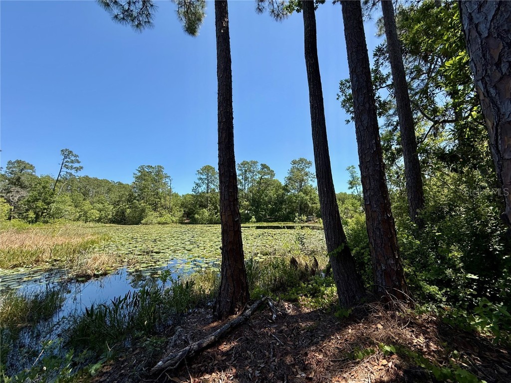 43740 Sunset Drive Paisley FL 32767 - Lake Grace G5095684 image28