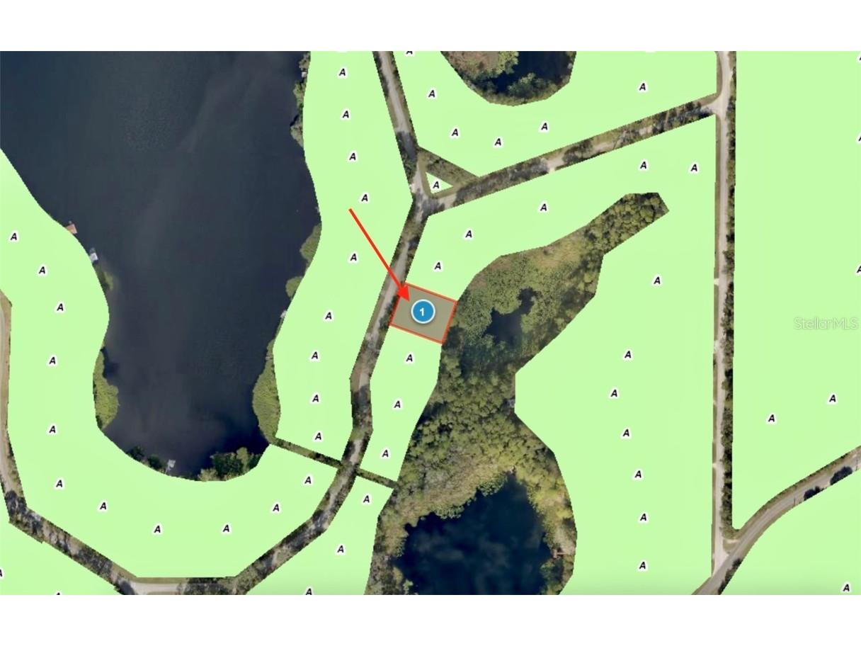 43740 Sunset Drive Paisley FL 32767 - Lake Grace G5095684 image29