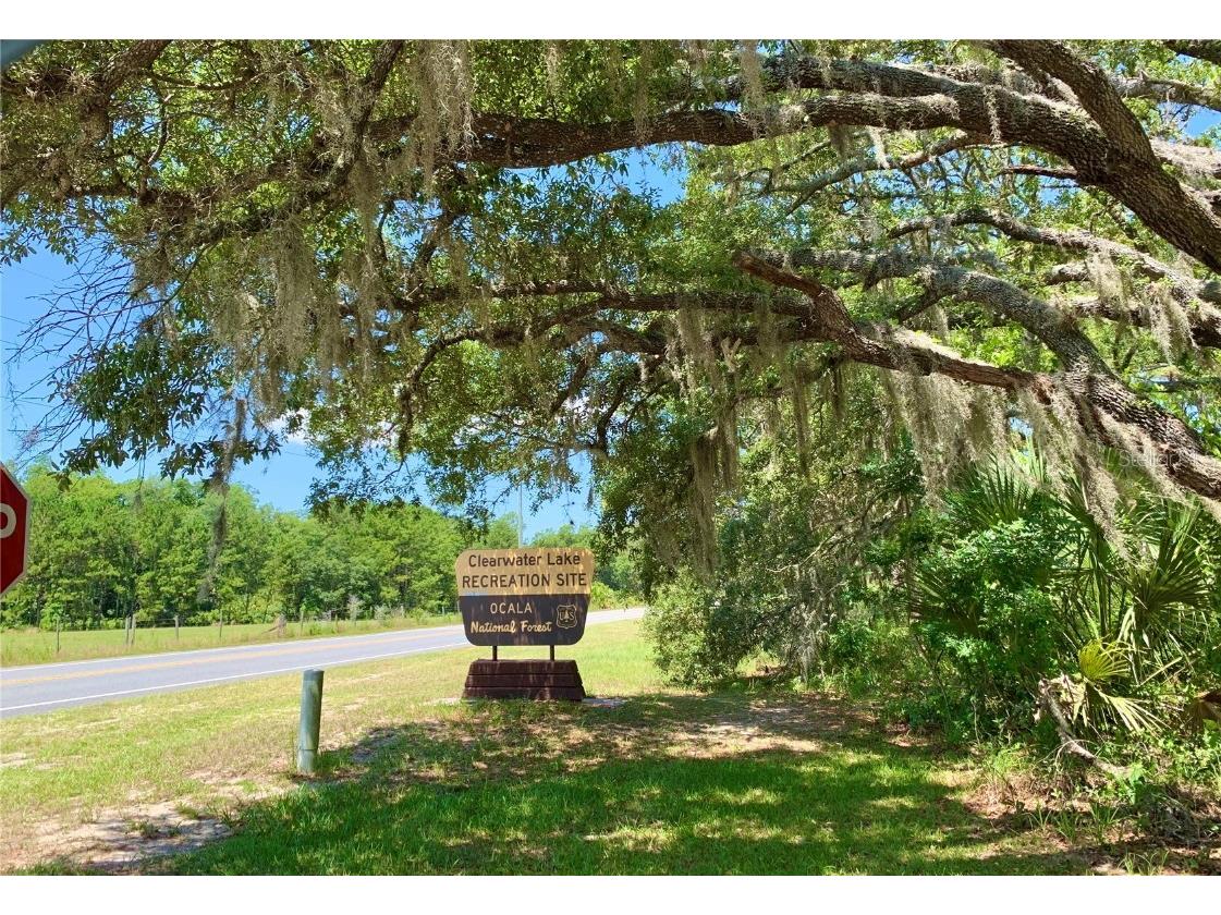 43740 Sunset Drive Paisley FL 32767 - Lake Grace G5095684 image31