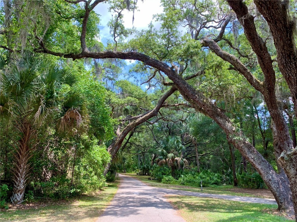 43740 Sunset Drive Paisley FL 32767 - Lake Grace G5095684 image32