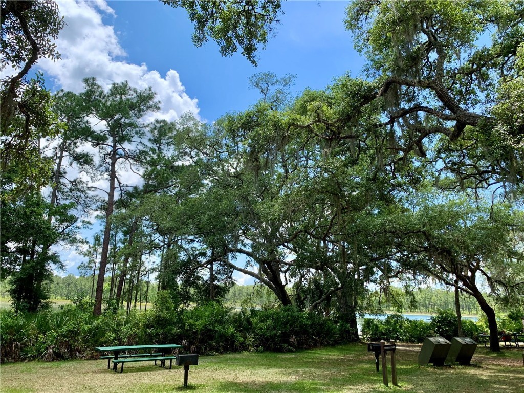 43740 Sunset Drive Paisley FL 32767 - Lake Grace G5095684 image33