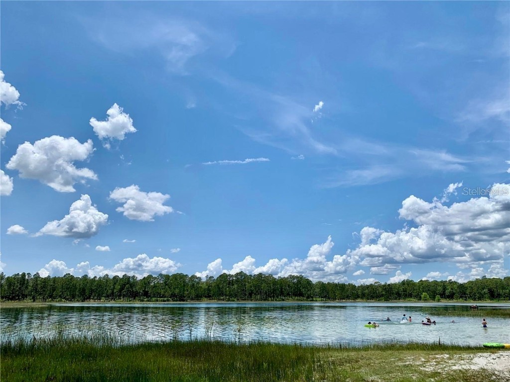 43740 Sunset Drive Paisley FL 32767 - Lake Grace G5095684 image34