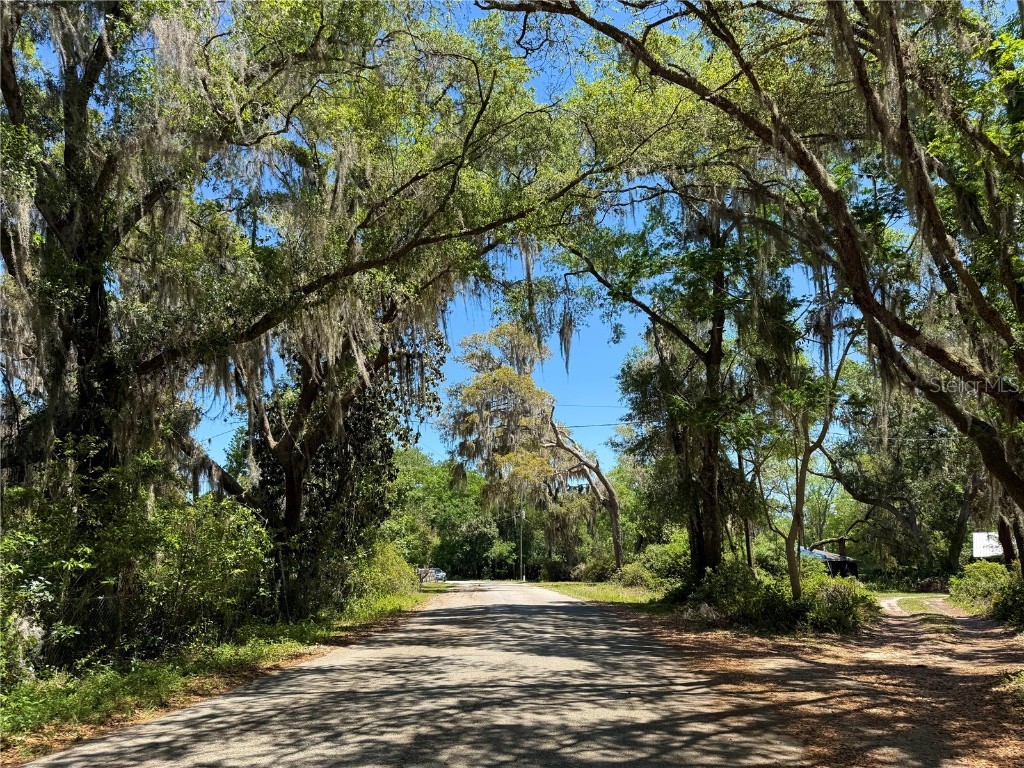 43740 Sunset Drive Paisley FL 32767 - Lake Grace G5095684 image6