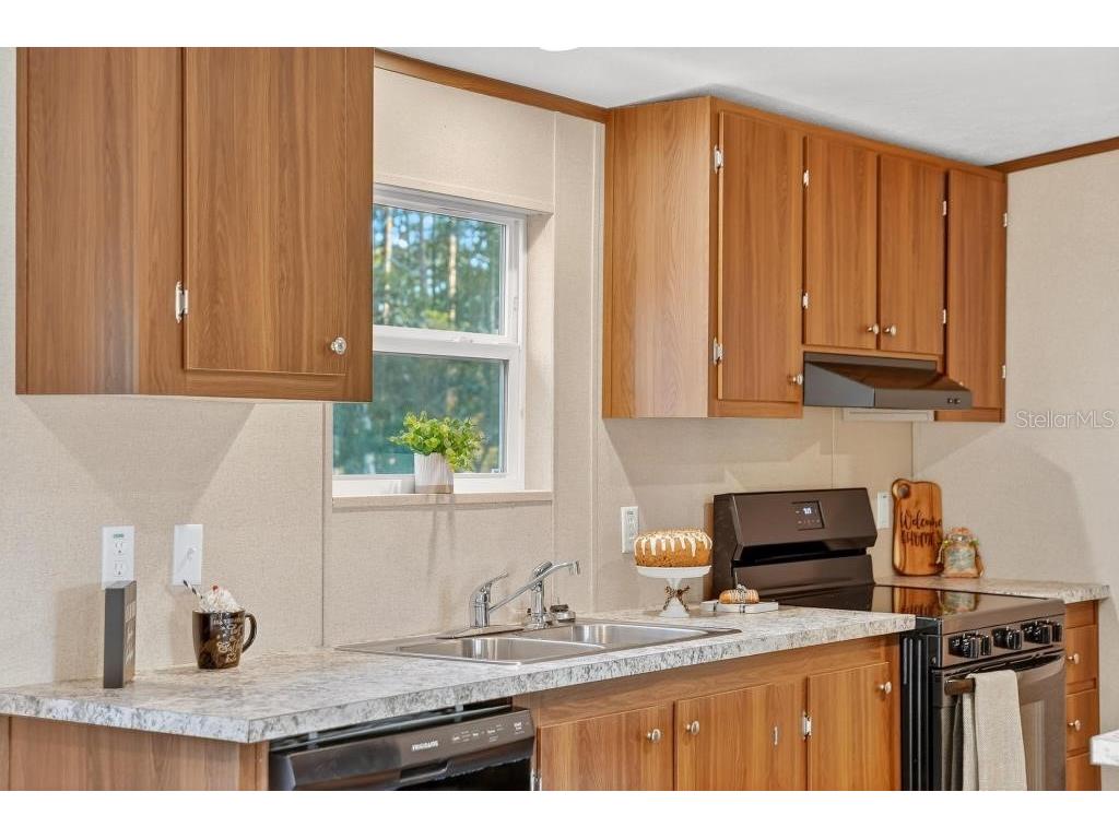 43740 Sunset Drive Paisley FL 32767 G5109007 image21