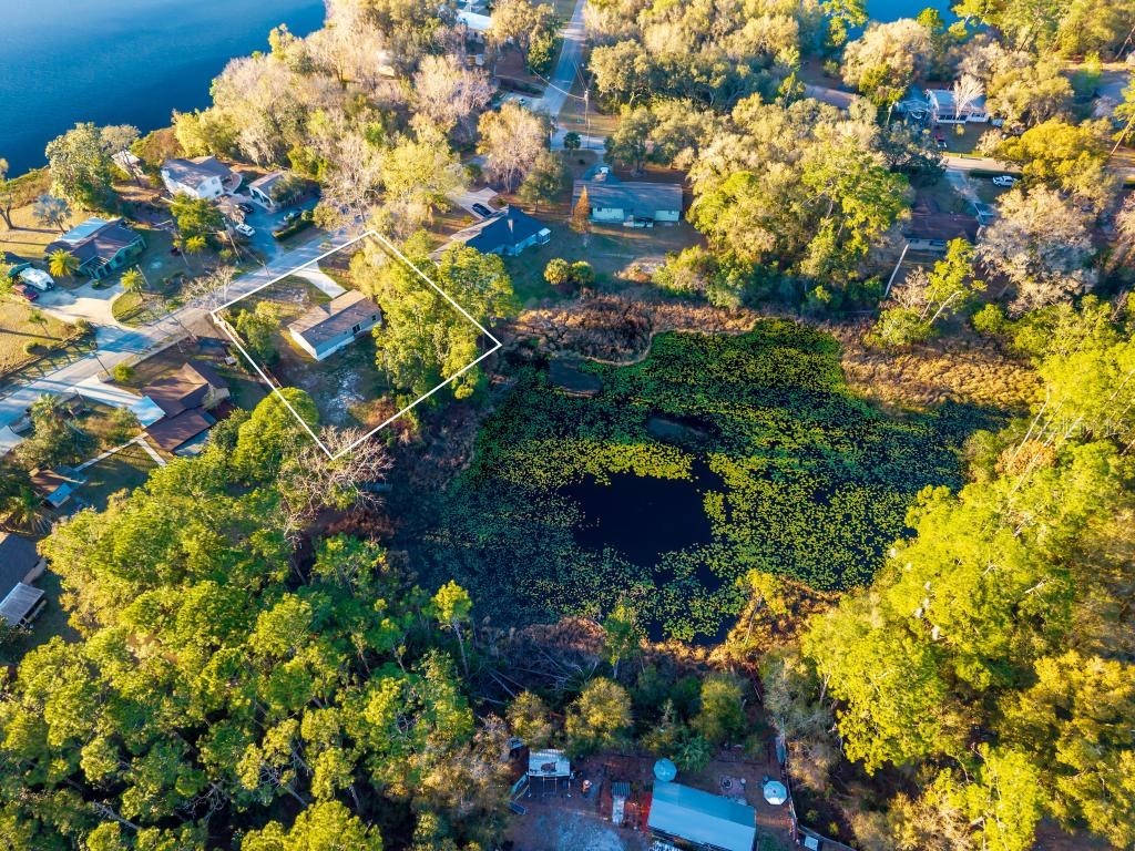 43740 Sunset Drive Paisley FL 32767 G5109007 image47
