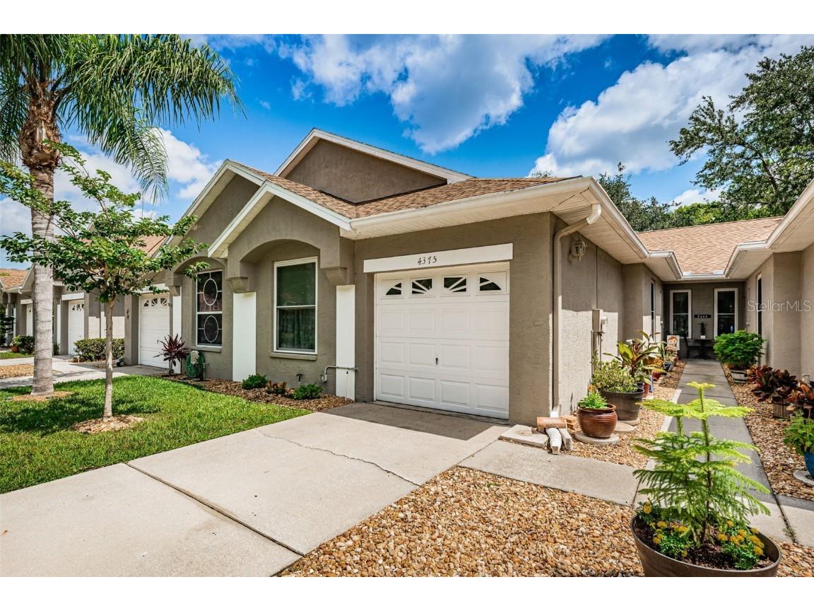 4375 Brooker Creek Drive Palm Harbor FL 34685 U8202101 image1